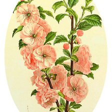 Cross stitch pattern: #1174690