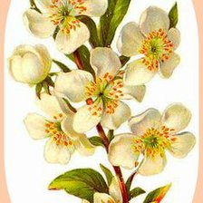 Cross stitch pattern: #1174695