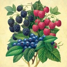 Cross stitch pattern: #1175822