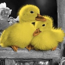 Cross stitch pattern: #1175969