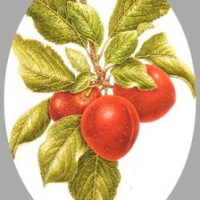 Cross stitch pattern: #1177569