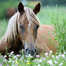 Cross stitch pattern: #1178858