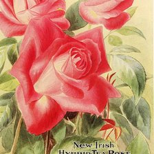 Cross stitch pattern: #1179399