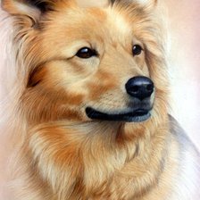 Cross stitch pattern: #1180225