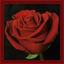 Cross stitch pattern: #1180453