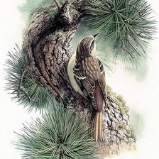 Cross stitch pattern: #1180920