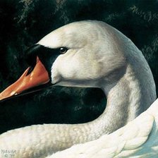 Cross stitch pattern: #1181594