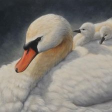 Cross stitch pattern: #1182288