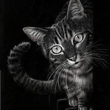 Cross stitch pattern: #1182676