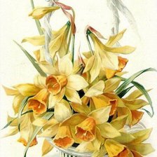 Cross stitch pattern: #1184291