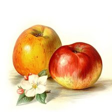 Cross stitch pattern: #1184642