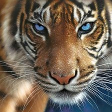 Cross stitch pattern: #1187662