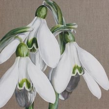 Cross stitch pattern: #1188868