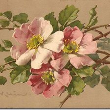 Cross stitch pattern: #1189630