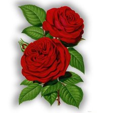 Cross stitch pattern: #1189888