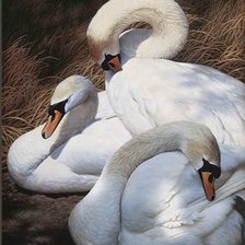 Cross stitch pattern: #1189910