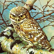 Cross stitch pattern: #1190688