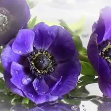 Cross stitch pattern: #1192964