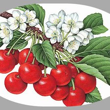 Cross stitch pattern: #1193091