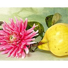 Cross stitch pattern: #1193551