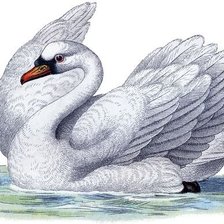 Cross stitch pattern: #1193631
