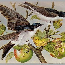 Cross stitch pattern: #1193984