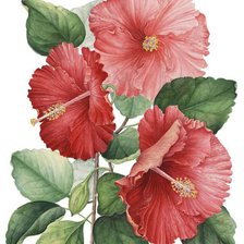 Cross stitch pattern: #1194745