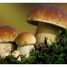 Cross stitch pattern: #1197431