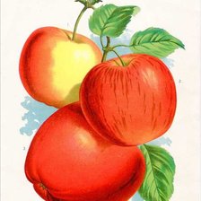 Cross stitch pattern: #1197540