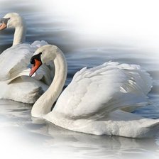 Cross stitch pattern: #1197553