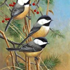 Cross stitch pattern: #1197936