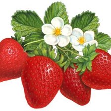 Cross stitch pattern: #1198344