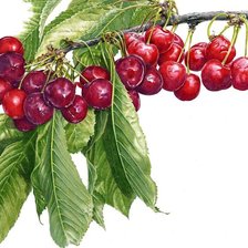 Cross stitch pattern: #1199187