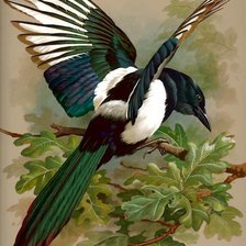 Cross stitch pattern: #1199394