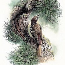 Cross stitch pattern: #1199400