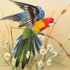 Cross stitch pattern: #1199406