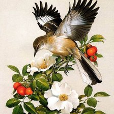 Cross stitch pattern: #1199428