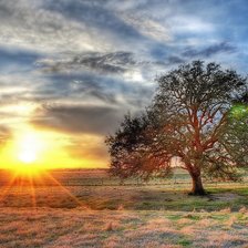 Cross stitch pattern: #1200563