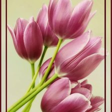 Cross stitch pattern: #1201363