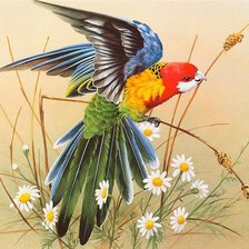 Cross stitch pattern: #1202467