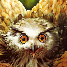 Cross stitch pattern: #1206452