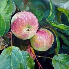 Cross stitch pattern: #1206513