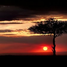 Cross stitch pattern: #1207942