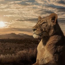 Cross stitch pattern: #1207945