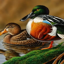 Cross stitch pattern: #1211220