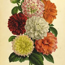 Cross stitch pattern: #1211942