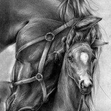 Cross stitch pattern: #1214192