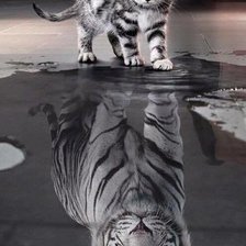 Cross stitch pattern: #1214259