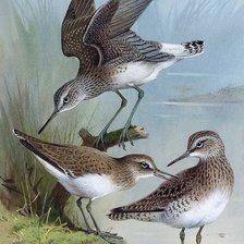 Cross stitch pattern: #1214424