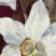 Preview of cross stitch pattern: #1215303